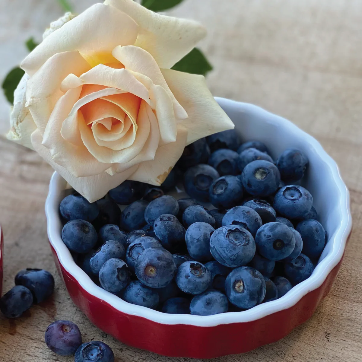 Huckleberry | Blueberries, Papaya, Rose | Black/Green Tea | Caffeinated - Image 5