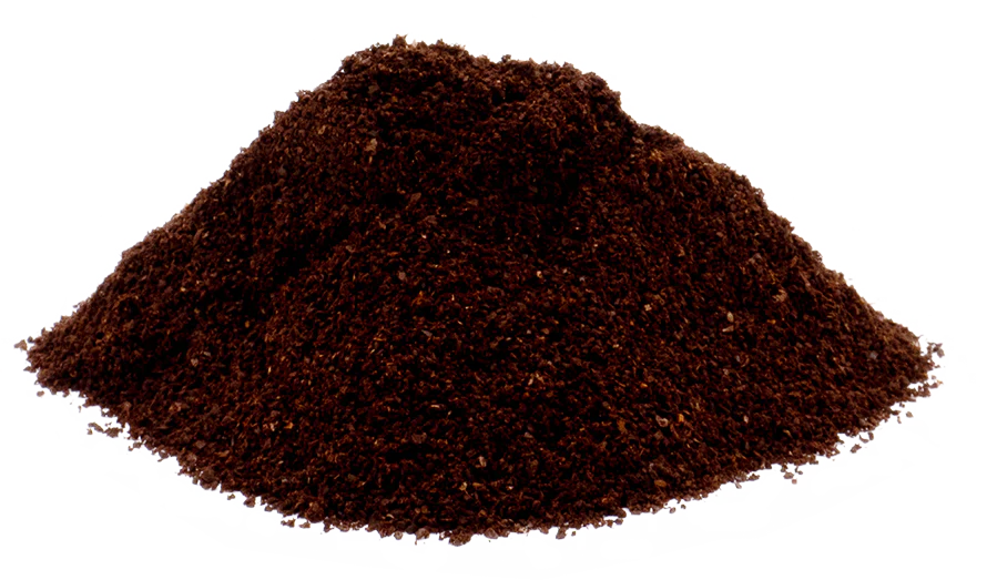The First Emperor - Black & Tan Dark Coffee - Image 3